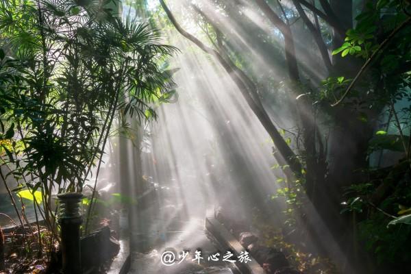 超级闪躲游戏