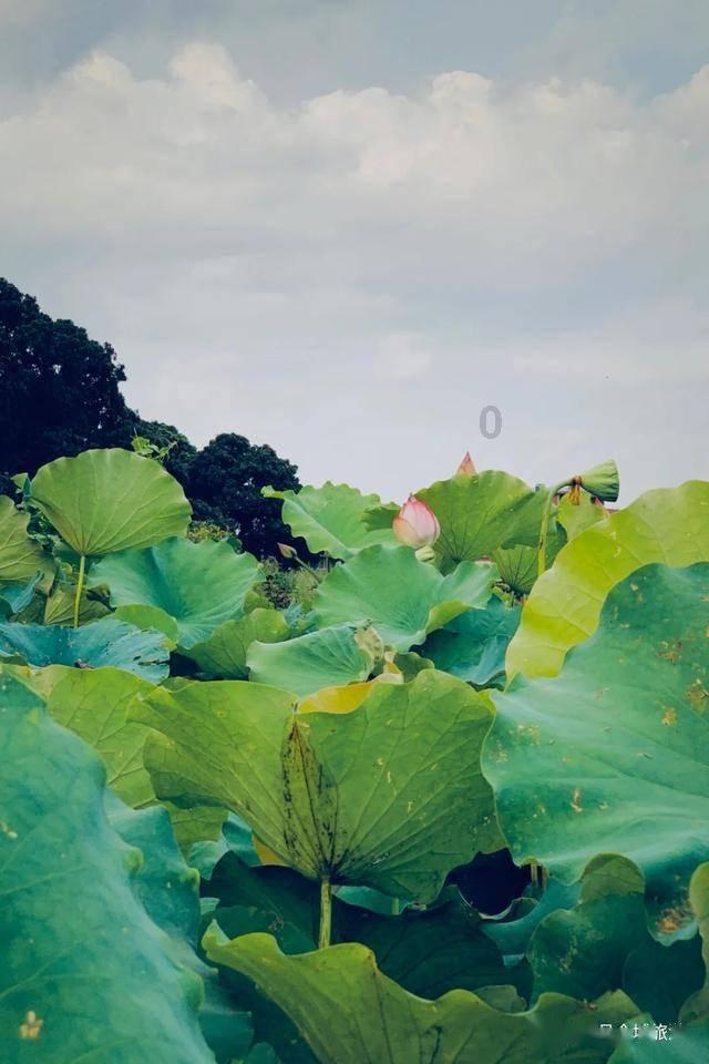 集装箱货运船