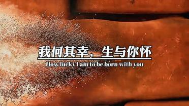 救援达尔马提亚狗