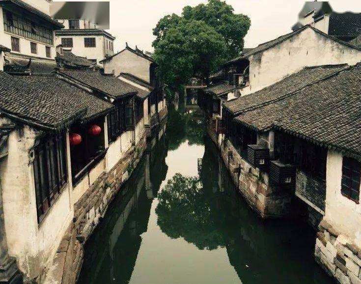 梦想牧场