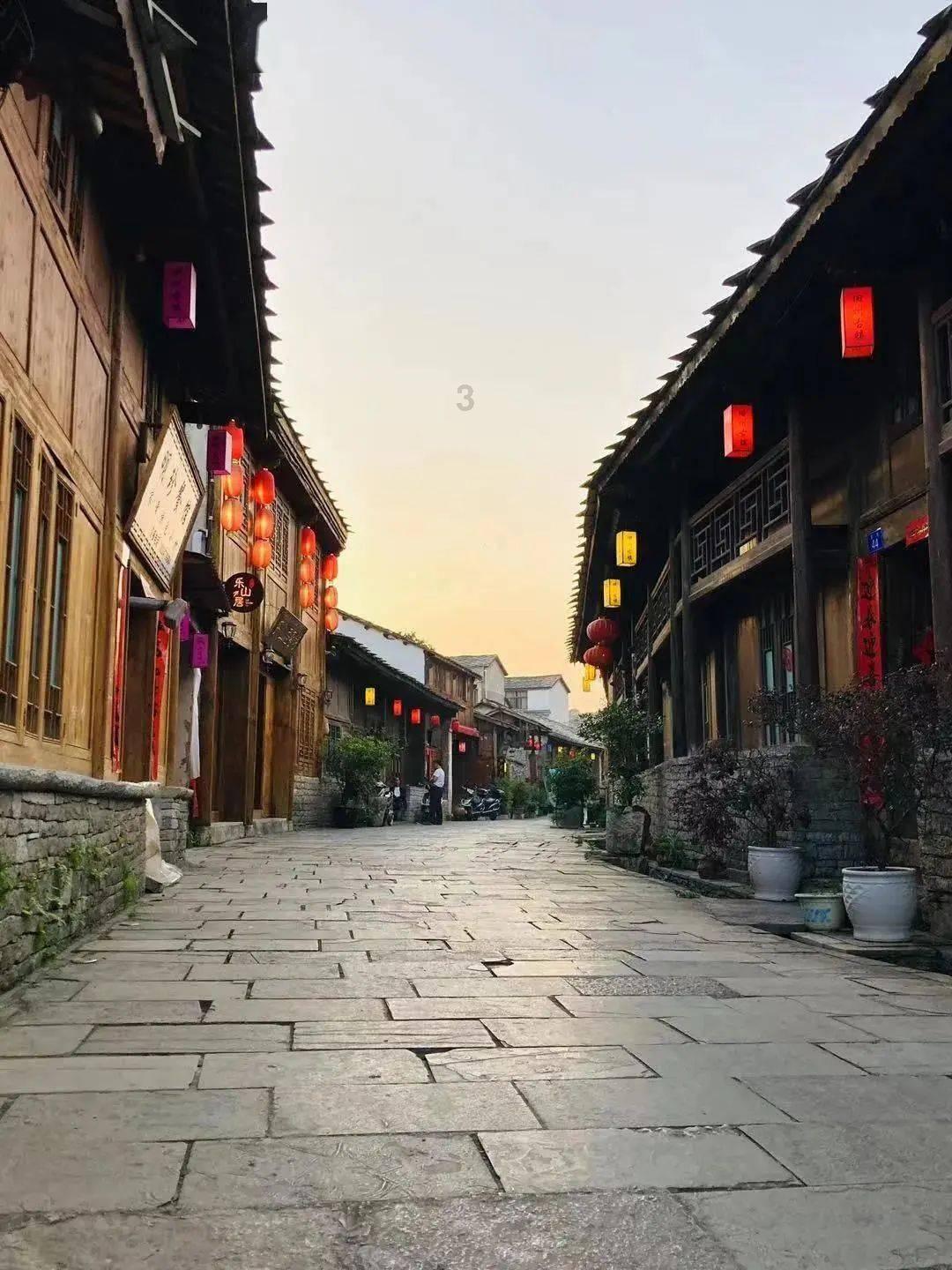 垂丝茉莉能活几年寿命？